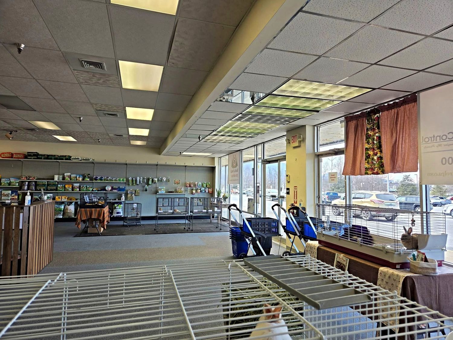 Small-animal habitats near the front windows